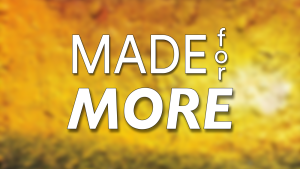 Made for More - Week 1 Image